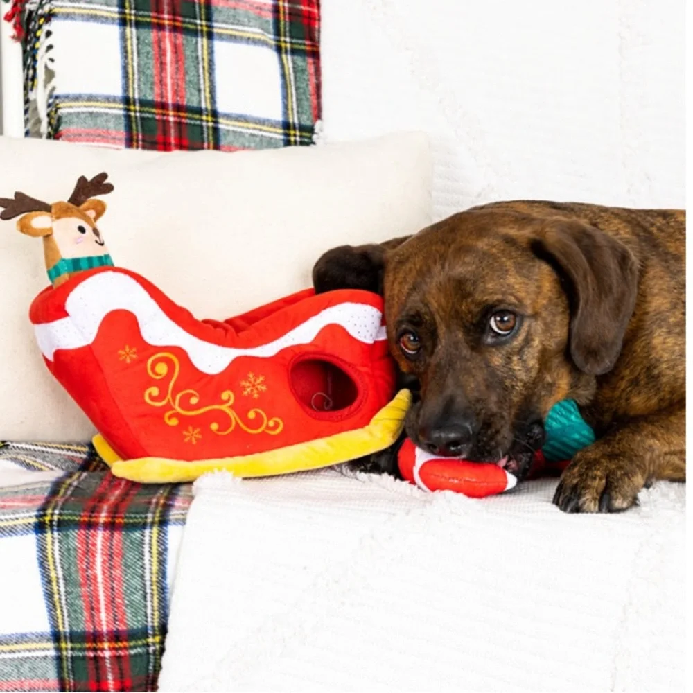 Fringe Studio canine behaviorists